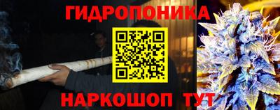 гидропоника Донской