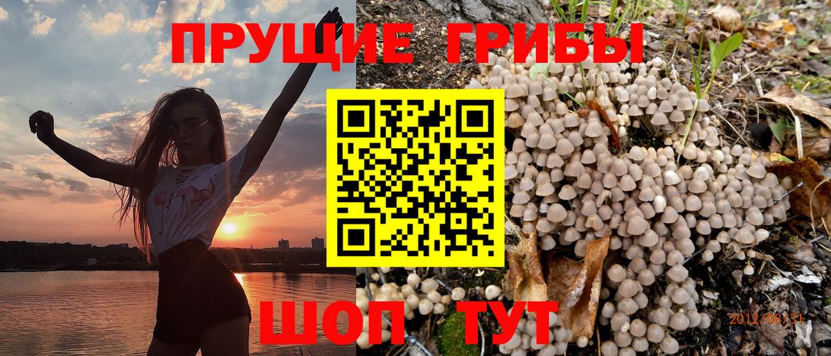 Галлюциногенные грибы GOLDEN TEACHER Кохма