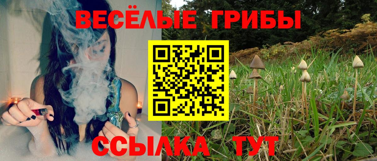 Галлюциногенные грибы GOLDEN TEACHER  Вход с VPN  Кохма  Псилоцибиновые грибы Psilocybine cubensis 